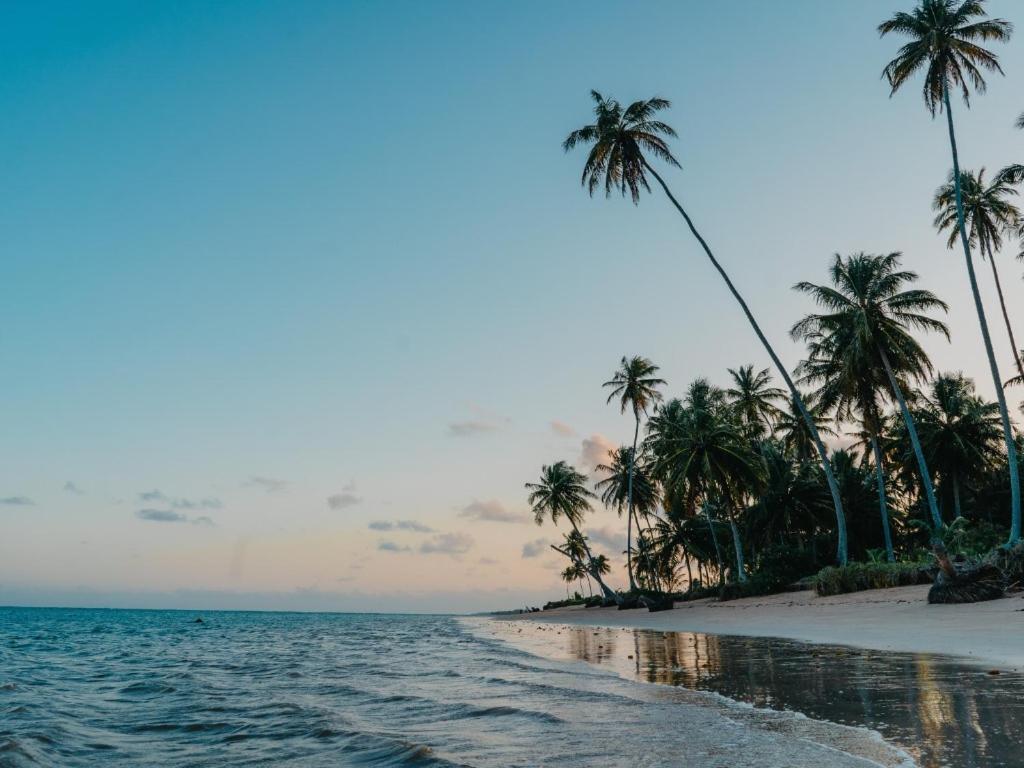 Casa Brasileira - Hotel Galeria Pôrto de Pedras エクステリア 写真